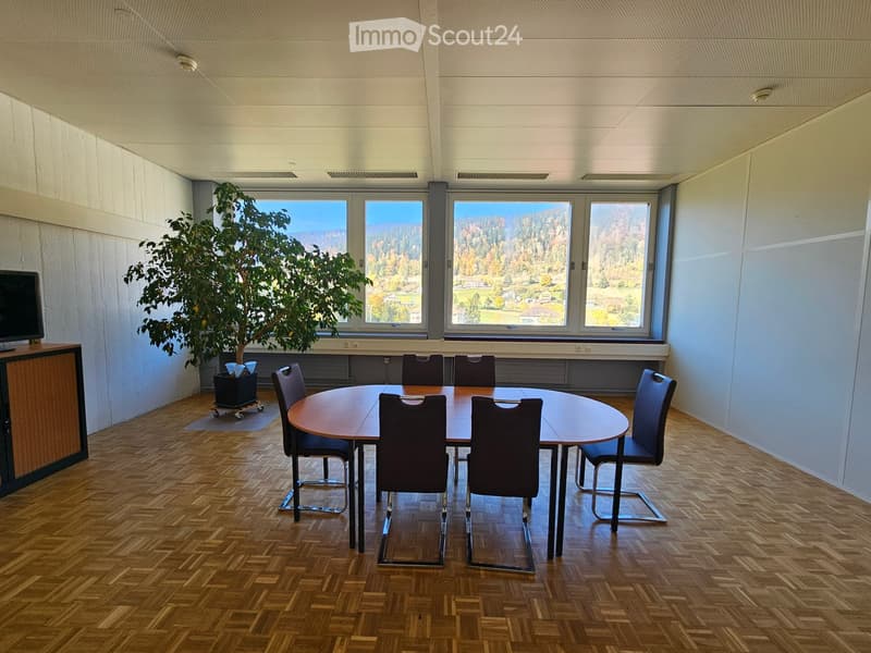 round table, 8 chairs, potted plant, windows, television, parquet floor