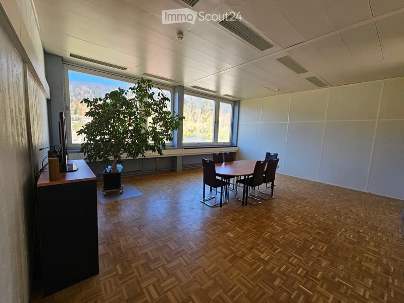 meeting room, wooden floor, table, chairs, potted plant, TV, windows