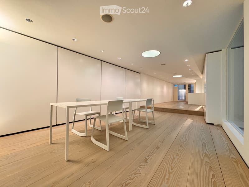 Commerciale / Ufficio / Studio nel cuore della città vecchia di Lucerna (5)