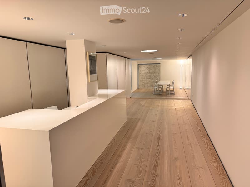 Commerciale / Ufficio / Studio nel cuore della città vecchia di Lucerna (4)