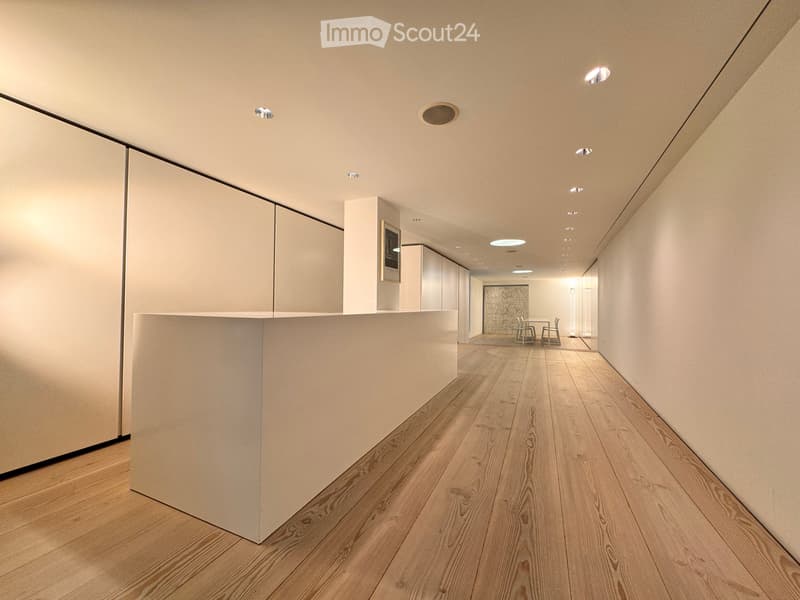Commerciale / Ufficio / Studio nel cuore della città vecchia di Lucerna (2)