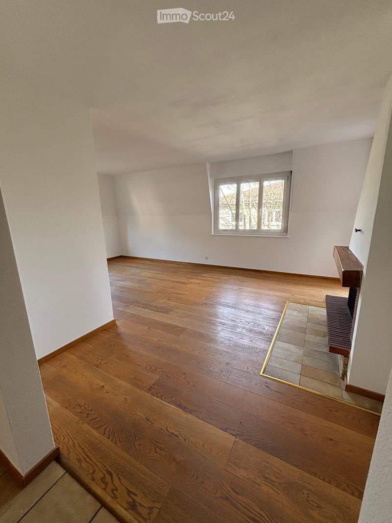 empty room, wooden floor, fireplace, white walls, window, view