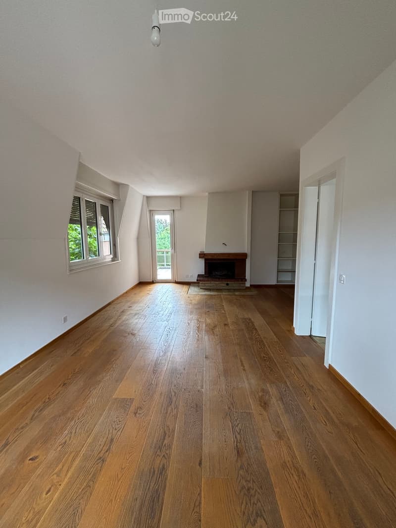 wooden floor, white walls, fireplace, sliding door, shelves