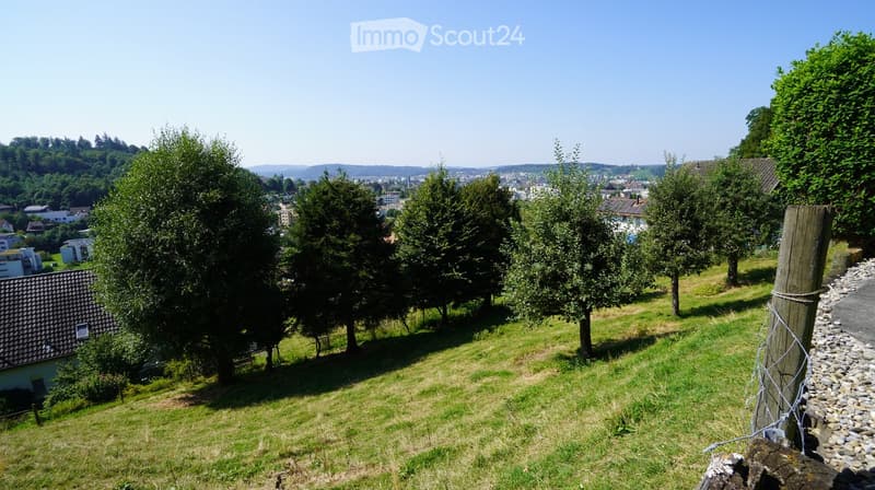 Aerial view of a small grassy area with trees, some houses, and a view of a valley.