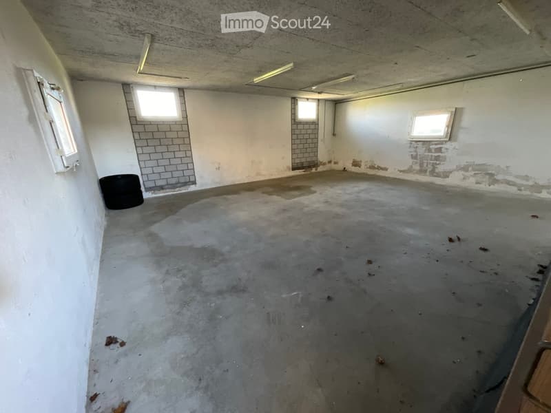 empty room, concrete floor, white walls, three windows, ceiling lights