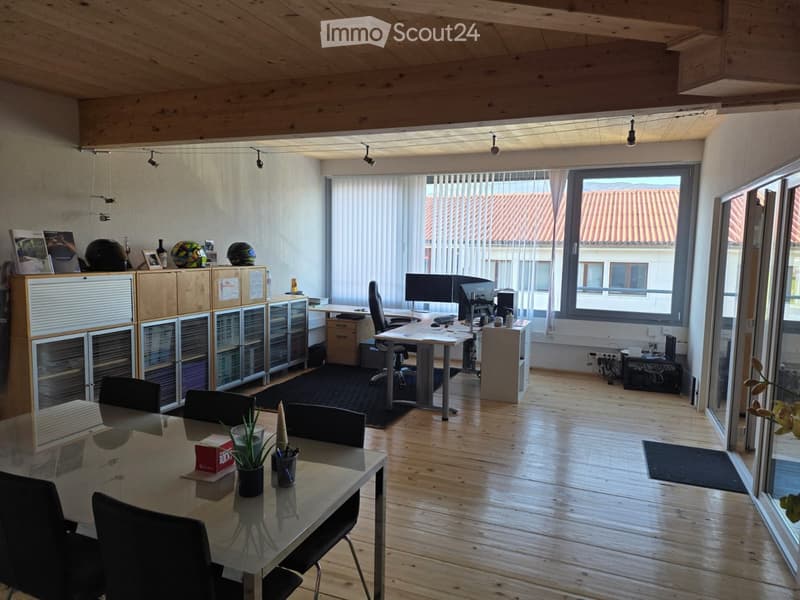 modern office setup, wooden desk, computer, monitor, office chairs, table, plants, wall cabinets, bookshelves