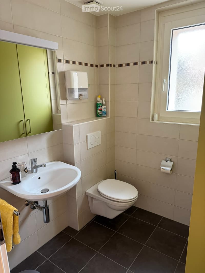 compact bathroom with green cabinet, white sink, white toilet, white tiles, window