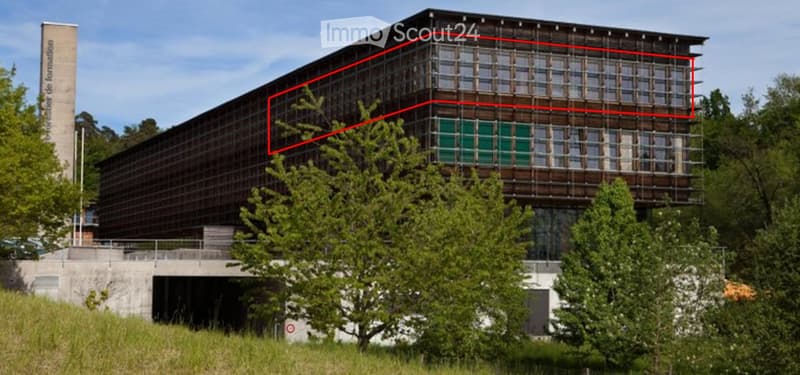Modern building, glass windows, wooden and metal exterior, green vegetation