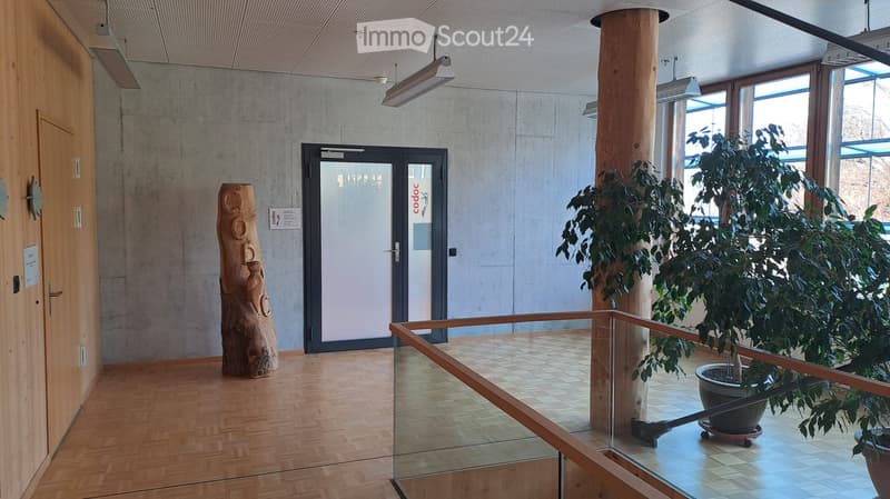 wooden floor, double doors, plants, glass railing, lamps
