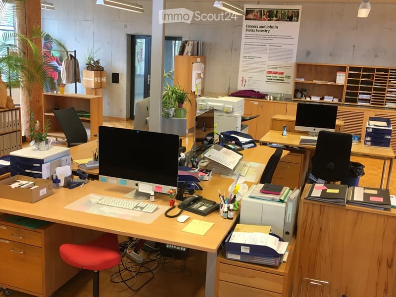 office with various desks and chairs, computer, printer, potted plants, cabinets