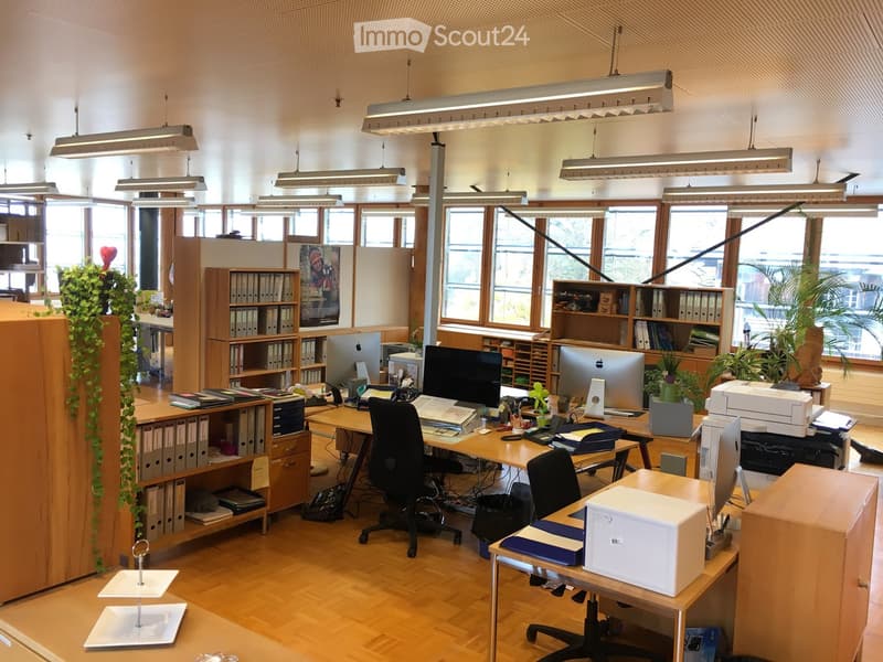 desks, chairs, monitors, cabinets, windows, plants