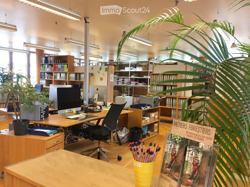 Wooden desks, computer monitors, shelves with books and office supplies, plants, ceiling lights
