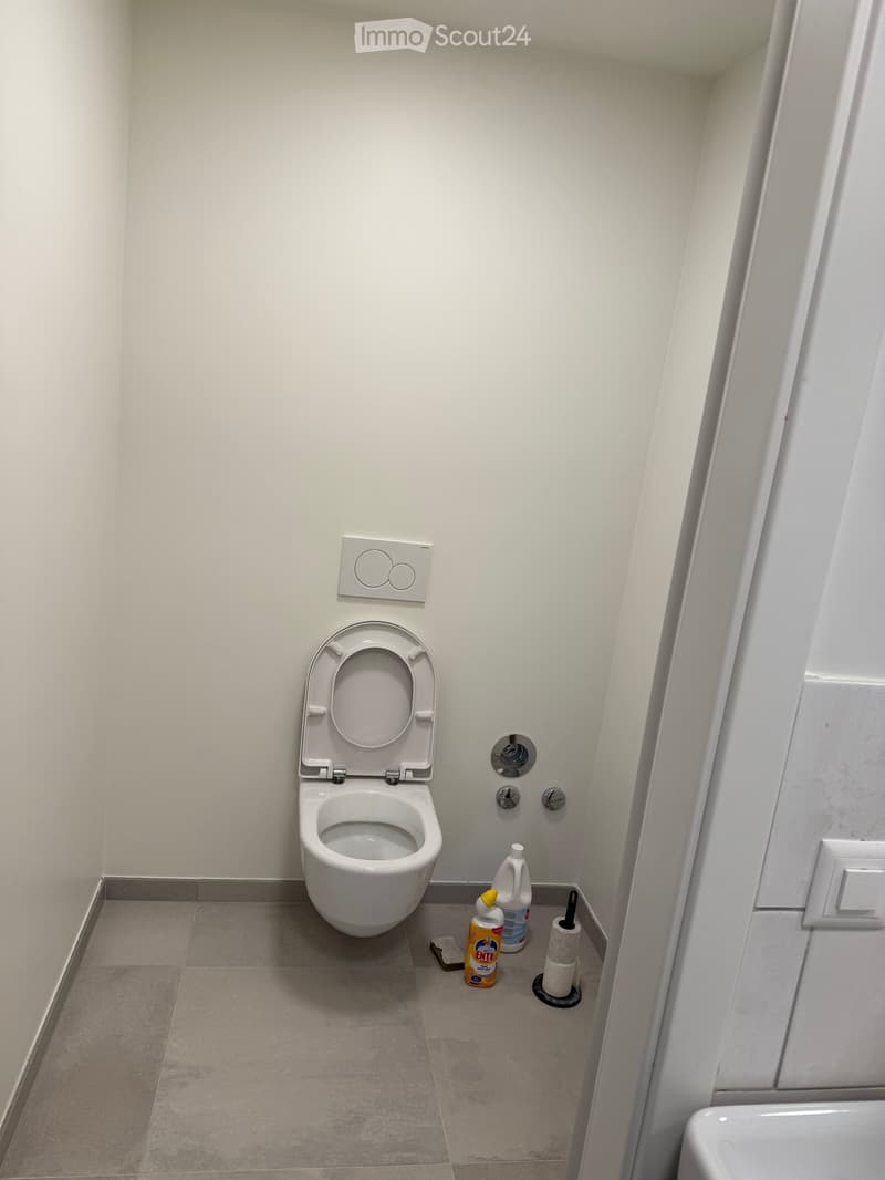 white walls, tiled floor, white toilet, cleaning products