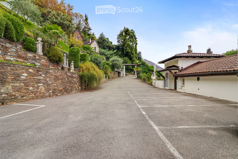 paved street with parking spots, stone wall on the left, trees, and plants