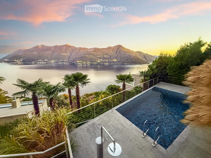 pool with a metal handrail, metal fence with palm trees in the background