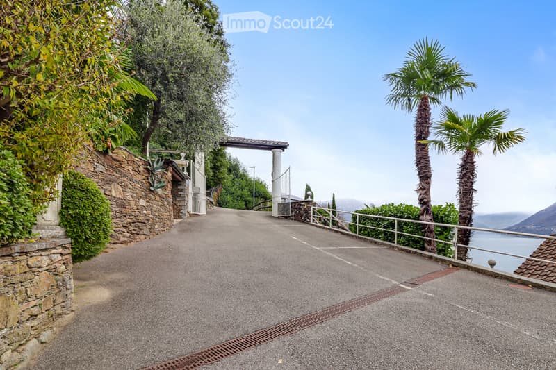 gravel driveway with stone wall and two palm trees, view to water and mountains