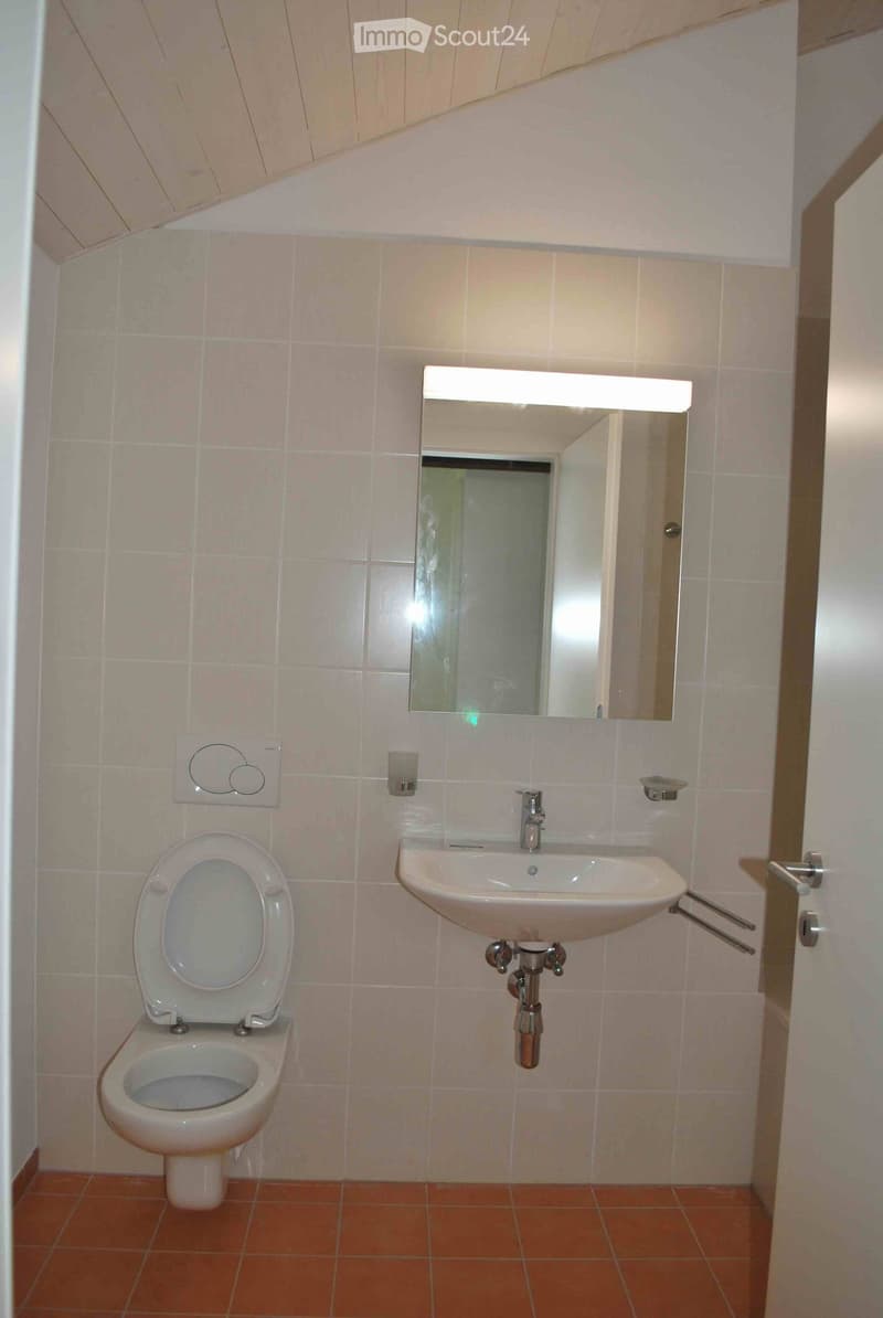 Toilet, sink, mirror, light, tiled walls, tiled floor