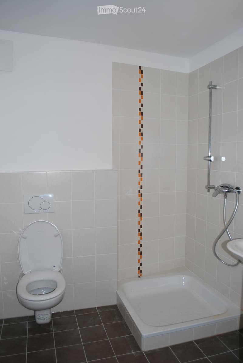 white tile walls, black tile flooring, white toilet, shower with handheld wand, rectangular shower enclosure, small sink