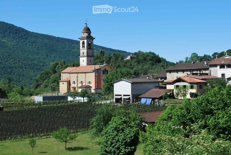 A cluster of houses with a church at the center, surrounded by mountains and trees, featuring vineyards.