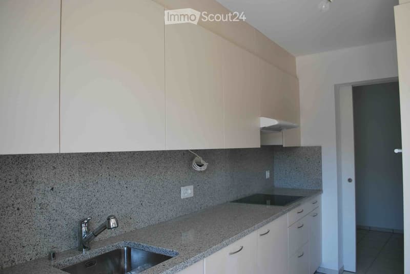 modern kitchen, granite countertop, stainless steel sink, white cabinets, extractor hood, electrical outlets