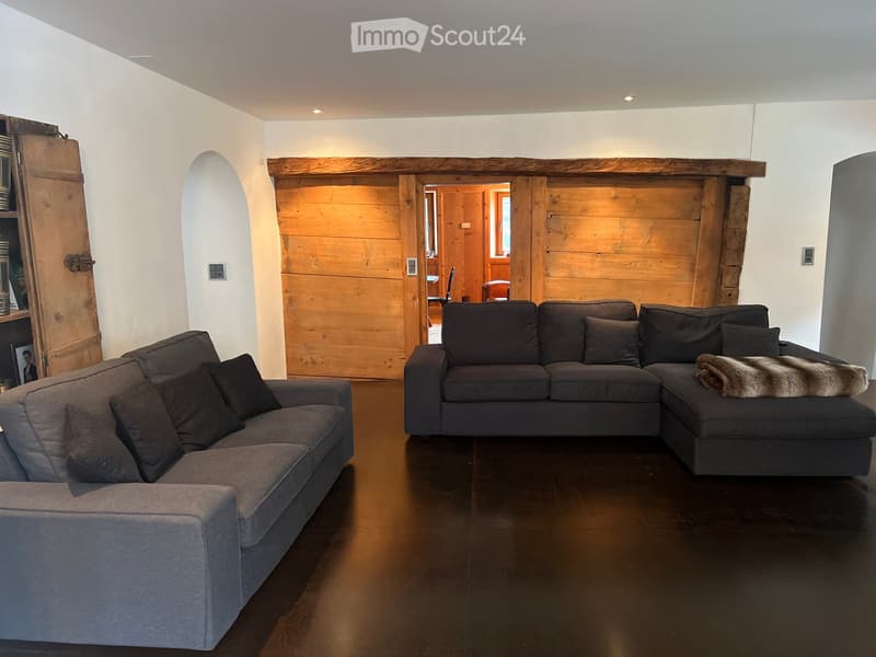 wooden doors, living room furniture, gray sofa, couch