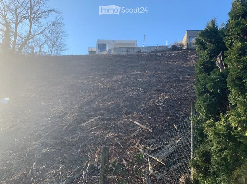 sloped ground with trees, shrubs, and a building in the background