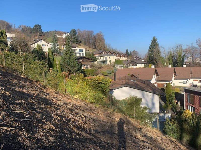 Sloping terrain with patches of grass and shrubs, several houses in the background, clear blue sky