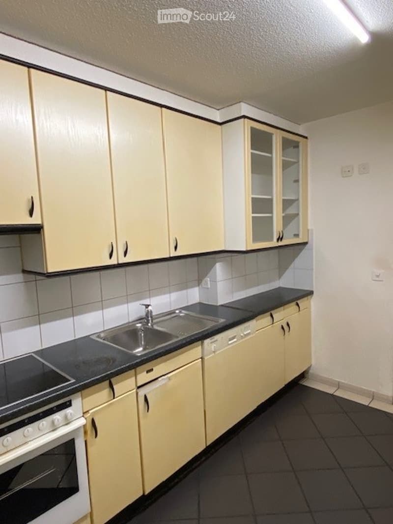 The kitchen has a stainless steel sink with a faucet, a built-in dishwasher, a built-in stove, a range hood, wooden cabinets, black countertops, and tile flooring.
