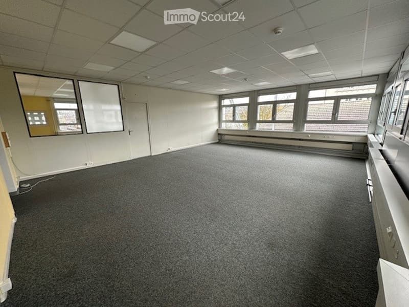 empty room with glass windows, carpeted floor, white walls, two mirrors, radiator