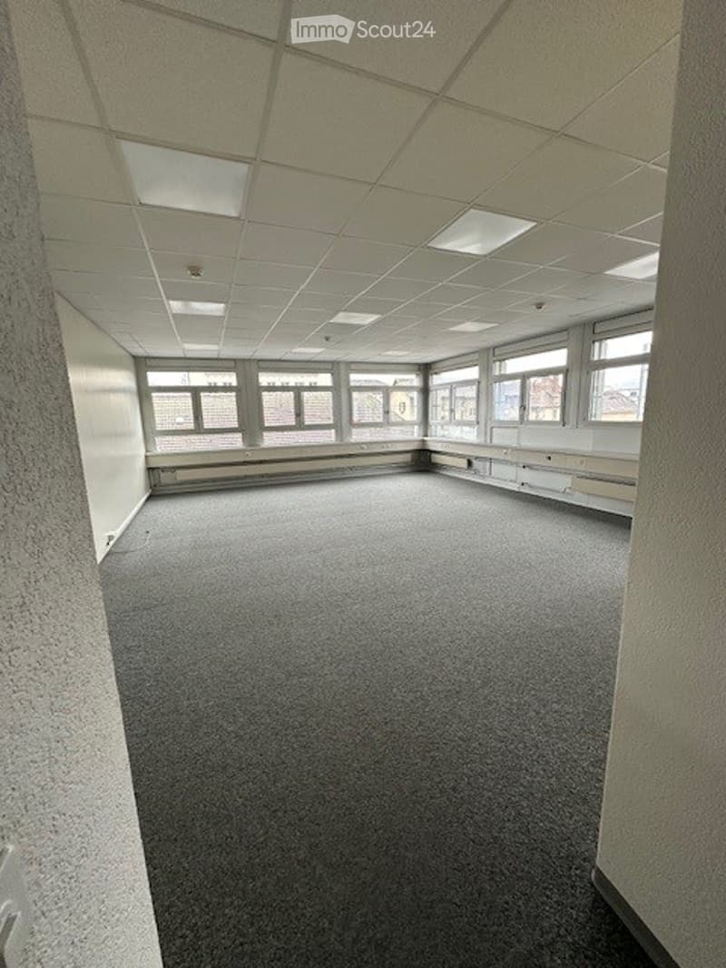 empty room with gray carpet, large windows, white walls, white ceiling