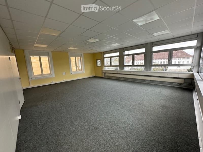 Office room with white ceiling, yellow walls, gray carpet, large windows, white doors.