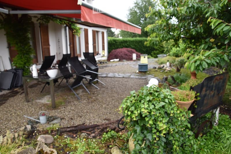 Patio with gravel, chairs, canopy, garden plants, green bench