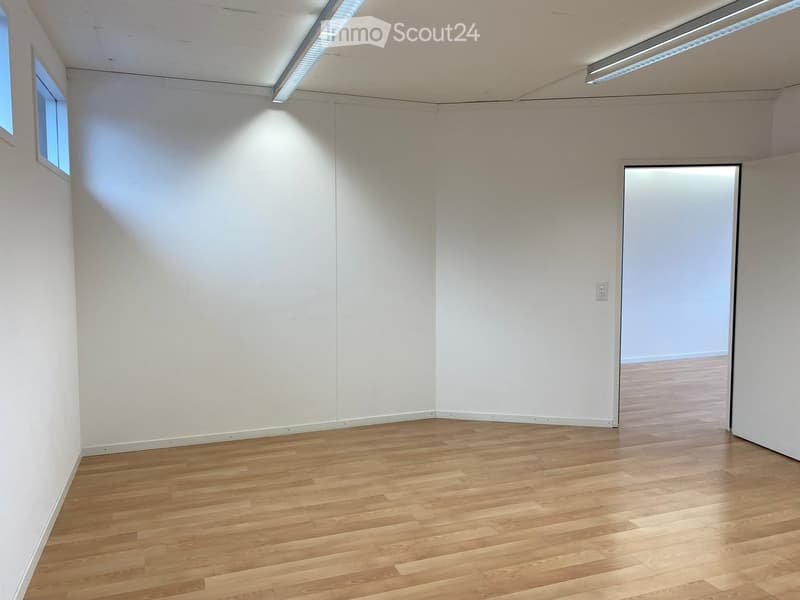 Empty room with white walls, hardwood floors, and two windows. A power outlet is mounted on the wall, and there is an open door.