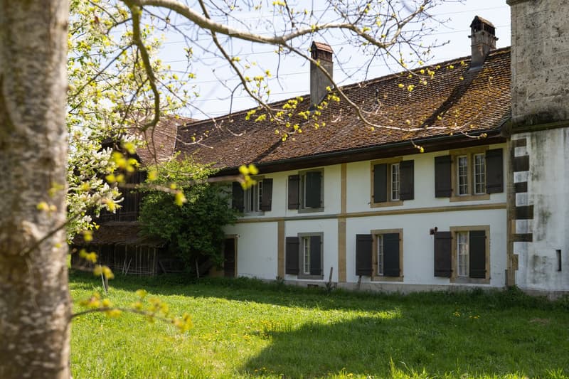 Old house, white walls, brown roof, multiple windows, chimneys, surrounded by grass and trees