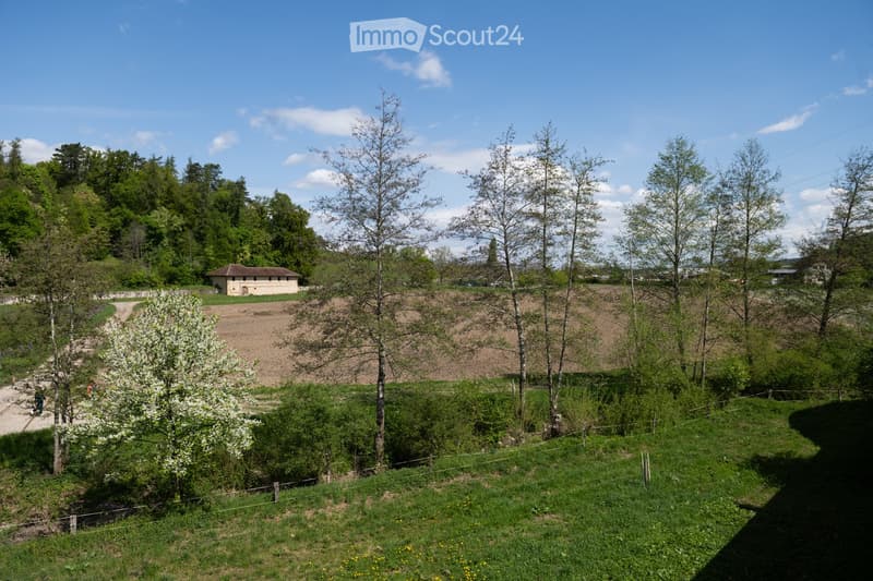A view of a grassy field with a small building in the distance, surrounded by trees and bushes, with a clear blue sky and some clouds.