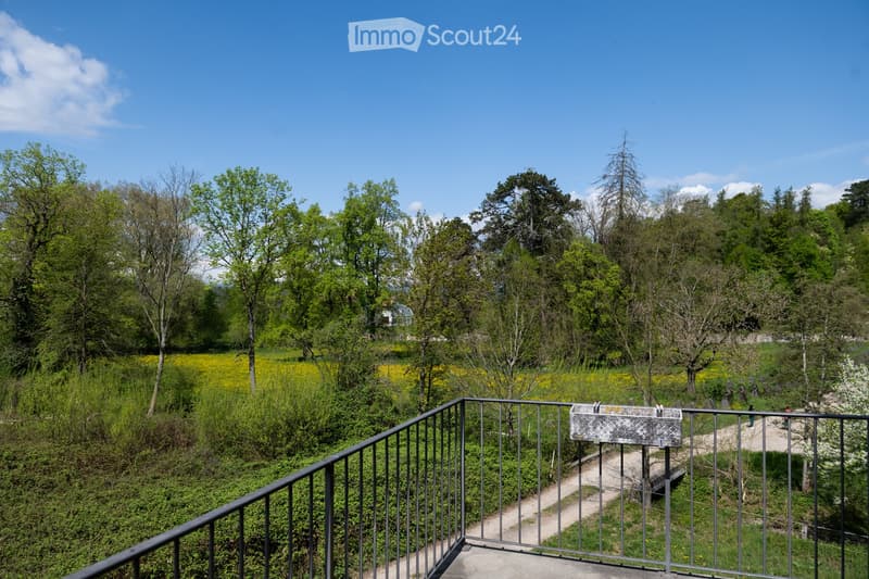 Balcony with metal railing, view of a grassy field with trees and yellow flowers, a dirt path, and a small building in the distance