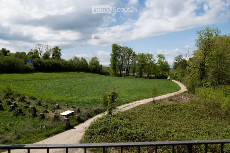 a dirt path in a green field with trees and bushes on both sides