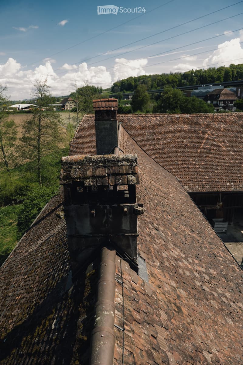Old house with a tiled roof, chimney, and moss growth