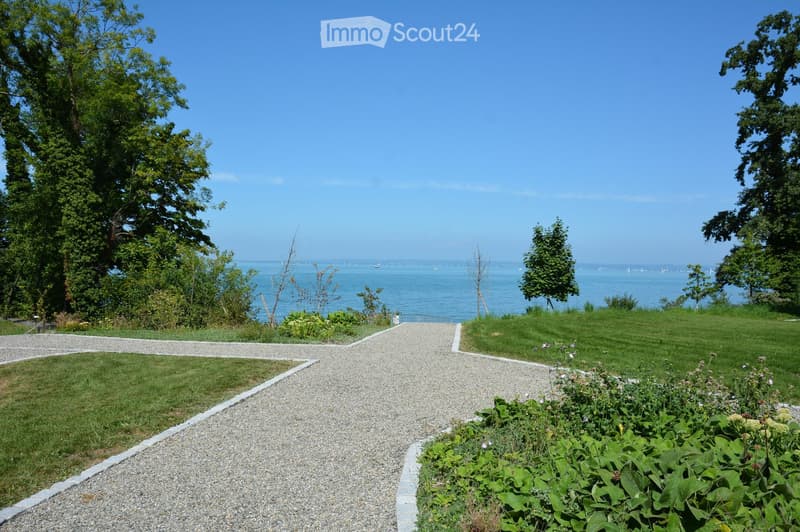 gravel pathway leading to a scenic sea view, lush greenery, clear blue sky