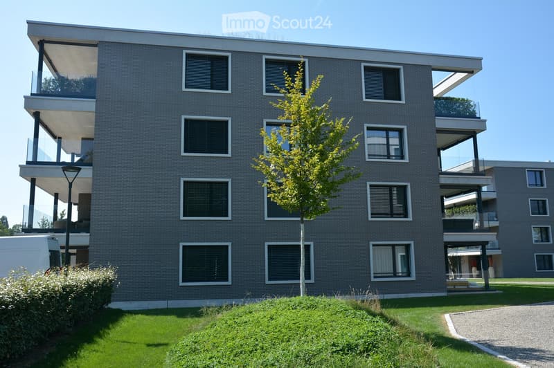 3 story building, gray brick, windows with shutters, tree, balcony, green grass
