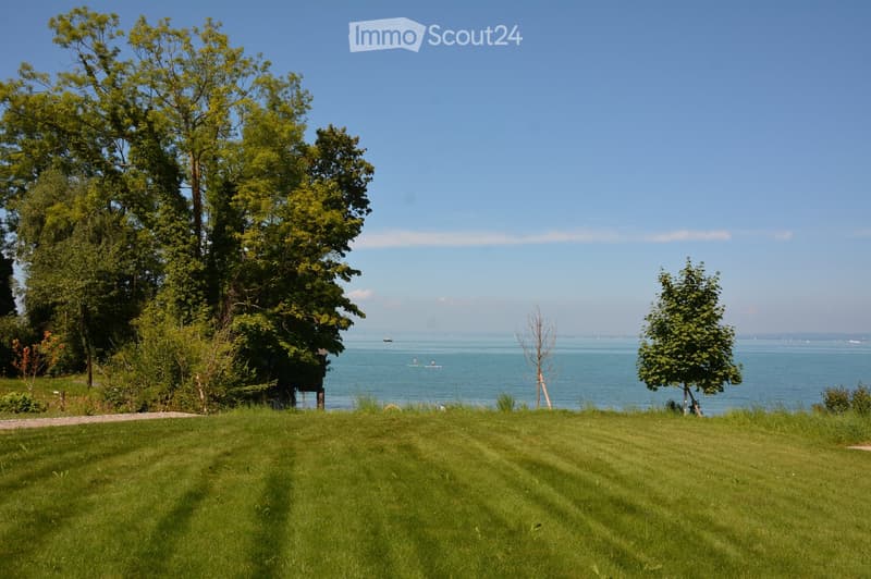 Green grass, small path, trees, lake, small boat