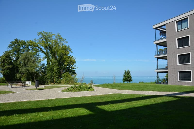 Grassy area with a building with multiple balconies, trees, sea in the distance, benches and a garbage bin