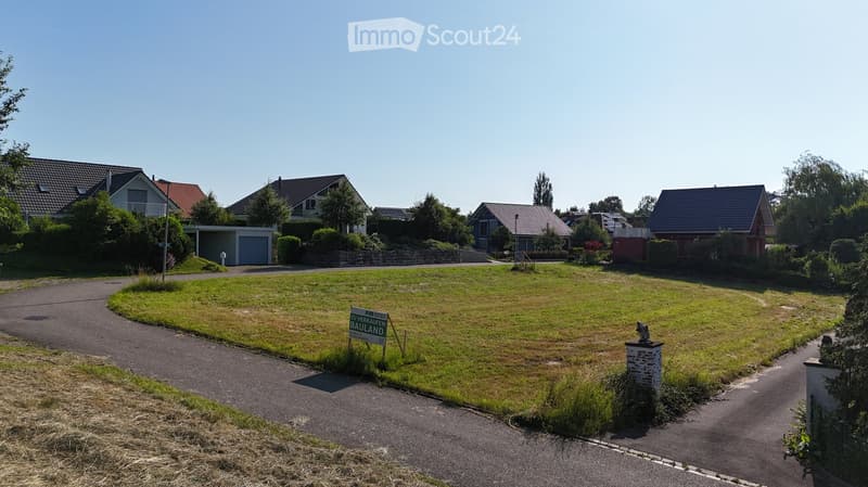 a wide open field with several houses in the background, surrounded by greenery and a walkway