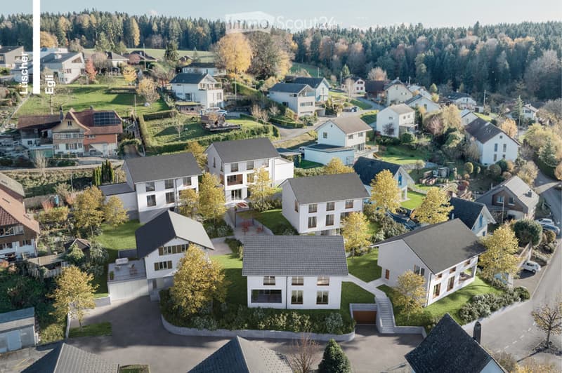 aerial view of residential area with several modern houses, trees, and lawns
