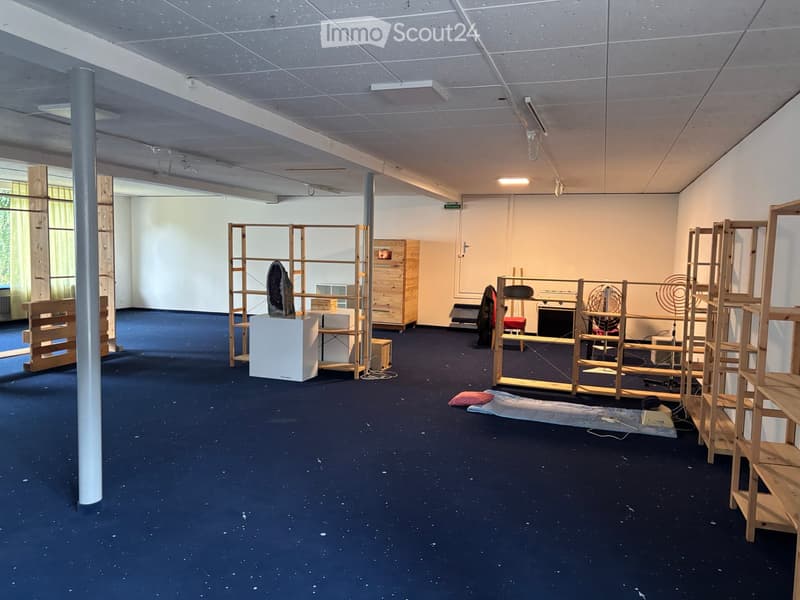 empty room, blue carpet, wooden shelves, white walls, ceiling lamps, no furniture
