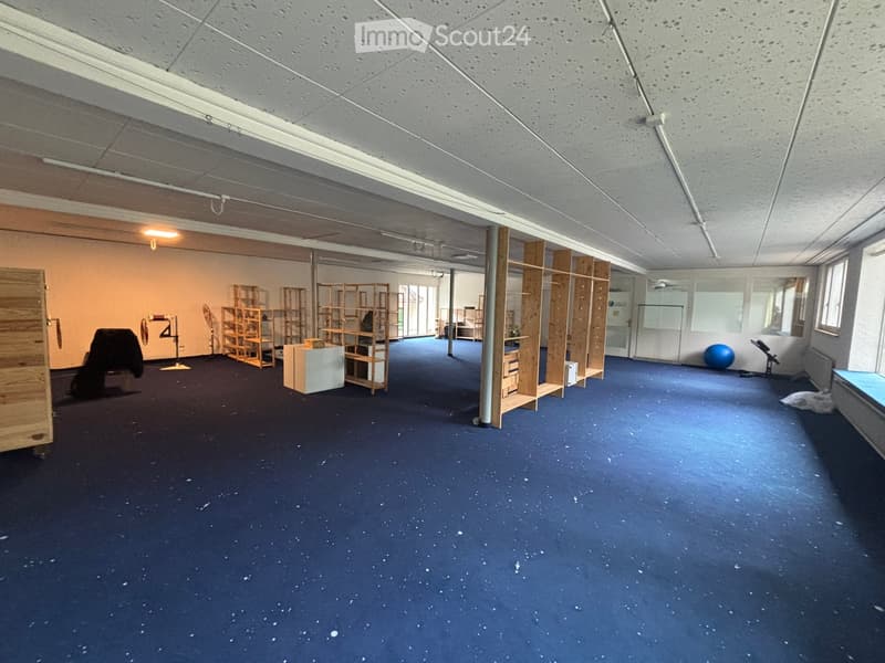 empty room with wooden shelves, blue carpet, and white walls