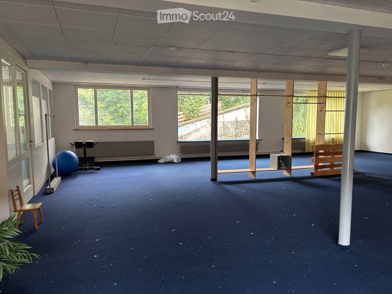 Empty room with blue carpet, two windows with view to outside, exercise equipment, wooden storage unit, small blue ball