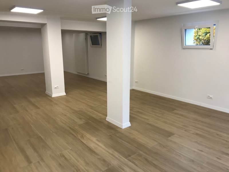 empty room, wooden floor, white ceiling, ceiling lights, 2 windows
