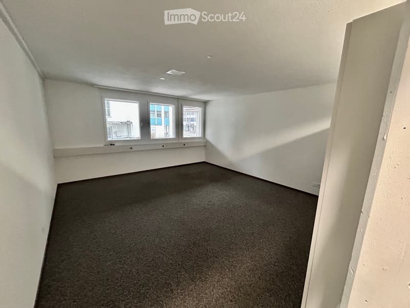 Empty room with white walls, carpet floor, two windows