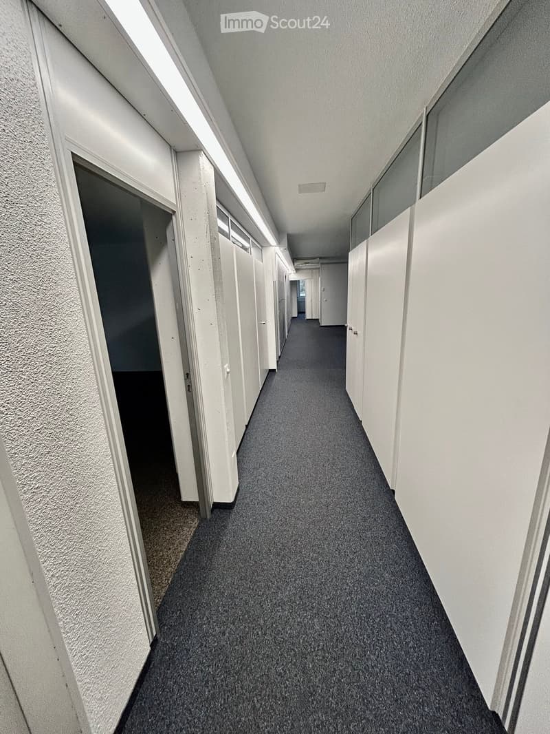 empty hallway, white walls, gray floor, white doors